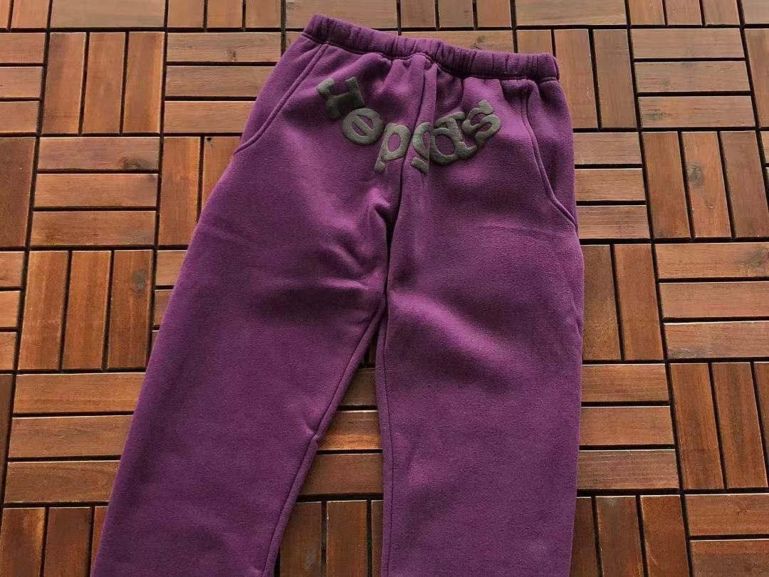 Sp5der fleece sweatpants model graphic close-up