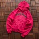 Sp5der hoodie - additional angle (21/21)
