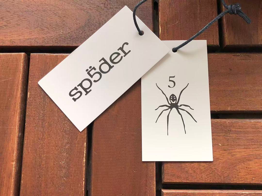 Sp5der tracksuit set fabric texture (photo 43/47)