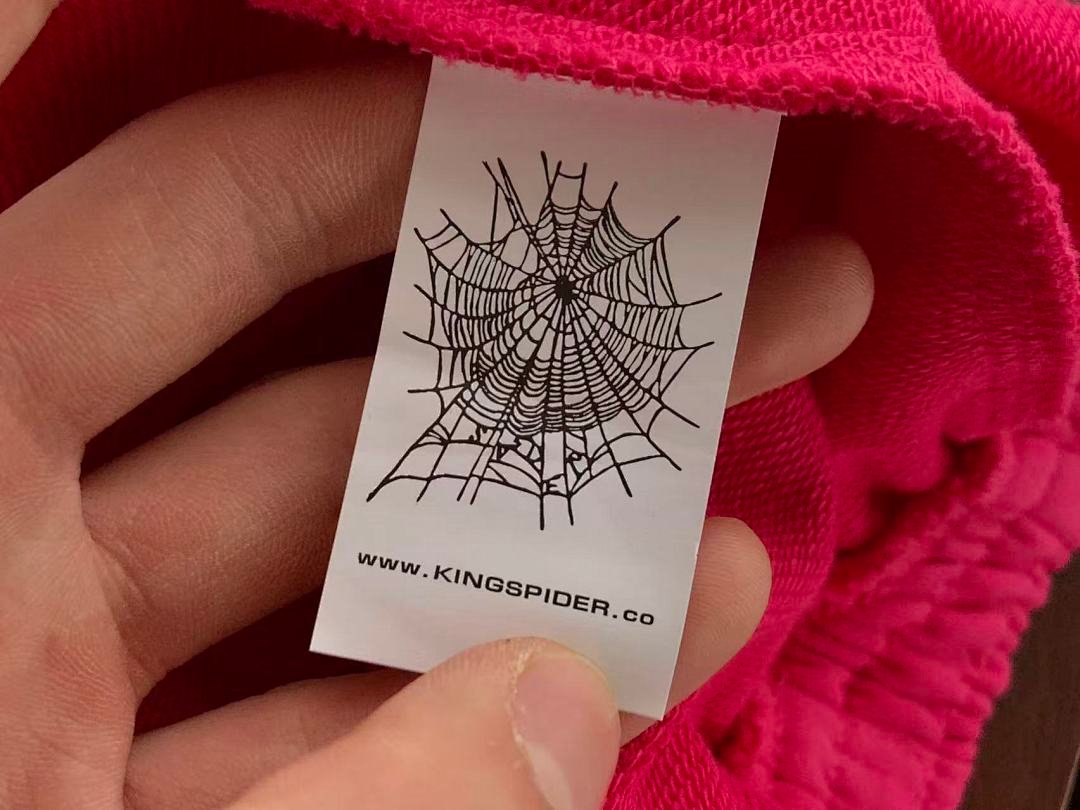 Sp5der tracksuit set fabric texture (photo 31/51)